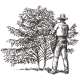 Recolector-Hacienda-Coloma.png